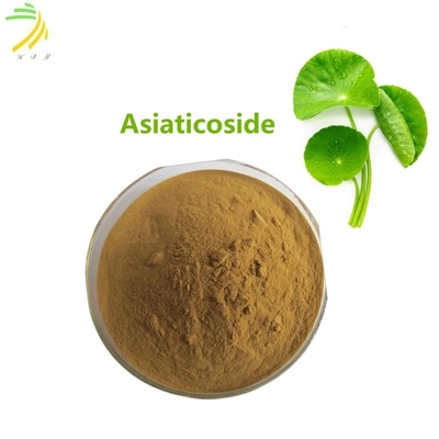 quality CAS 16830-15-2 Herbal Extract Asiaticoside Brown powder Dengan 95% Assay factory